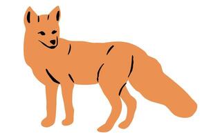 Cute Cartoon Sniffing Fox on Hunt. Illustration Isolated on White Background vector