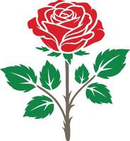 Hand drawn red rose flower illustration vector
