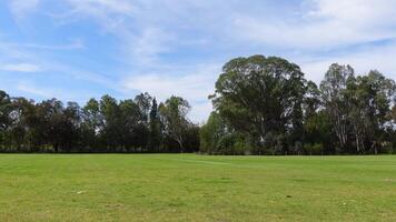 A greenfield with bushland at Willow Park, Wodonga, Victoria, Australia, large open spaces including a sports field, walking and cycling path , Panning camera view. video