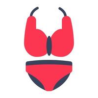 Bra with pentie, icon of ladies undergarments vector