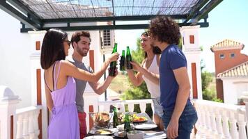 Group of friends making a toast with beer bottles video