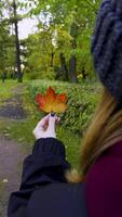 Close-up shot of a woman hand holding a red and orange maple leaf against a green forest backdrop. The soft focus emphasizes the calm, serene atmosphere of the autumn day as she walks along the path video