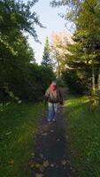 A person wearing a gray hat and burgundy hoodie walks along a quiet forest path, surrounded by the vibrant autumn colors of trees bathed in the soft light of the setting sun. The image is captured video
