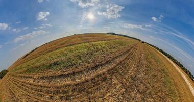 little planet transformation with curvature of space among fields in blue sky with clouds video