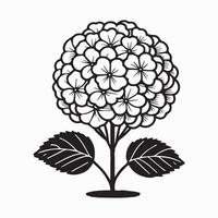 a black and white drawing of a flower vector