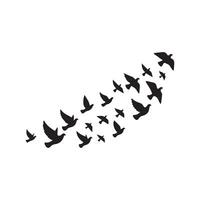 a flock of birds flying in the air vector