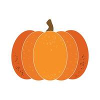 Ripe pumpkin isolated on white background. vector