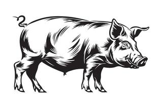 A black and white drawing of a pig vector