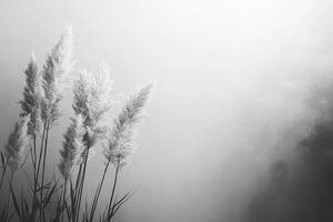 Black and white image of dry branches in fog. Natural background. Generated by artificial intelligence photo