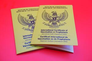 international certificate of vaccination or prophylaxis isolated on red background. yellow book as a sign of vaccination. 2 yellow books of vaccines from Indonesia photo
