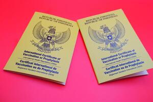 international certificate of vaccination or prophylaxis isolated on red background. yellow book as a sign of vaccination. 2 yellow books of vaccines from Indonesia photo