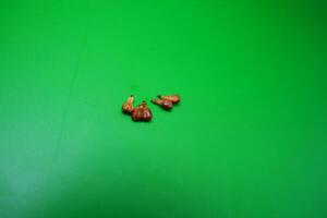 5 seeds of grapes isolated on green background photo