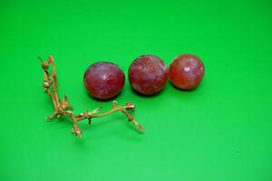 3 grapes and their branches isolated on green background. Fresh purple grapes. photo