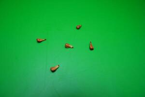 5 seeds of grapes isolated on green background photo