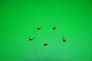 5 seeds of grapes isolated on green background photo