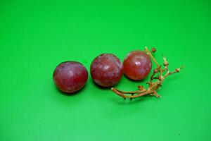 3 grapes and their branches isolated on green background. Fresh purple grapes. photo