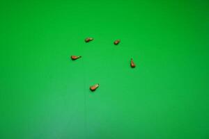 5 seeds of grapes isolated on green background photo