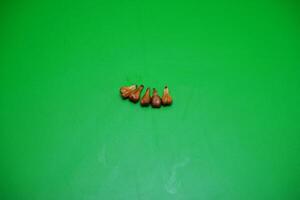 5 seeds of grapes isolated on green background photo