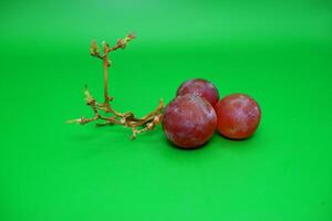 3 grapes and their branches isolated on green background. Fresh purple grapes. photo