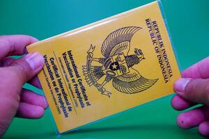 hand holding international certificate of vaccination or prophylaxis isolated on green background. yellow book as a sign of vaccination photo