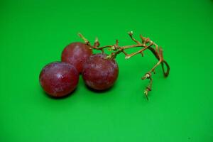 3 grapes and their branches isolated on green background. Fresh purple grapes. photo