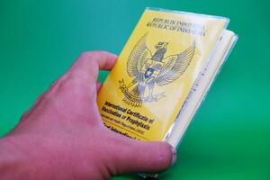 hand holding international certificate of vaccination or prophylaxis isolated on green background. yellow book as a sign of vaccination photo