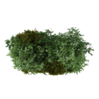 Isolated Artificial Grass Wall with red flowers on transparent canvas from the top view png