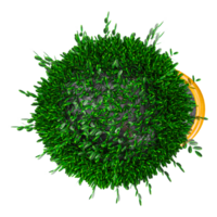 3d rendering of Myrtle Tree isolated on transparent Canvas from the top view png