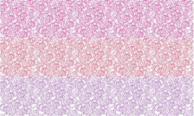 seamless pattern with rose flowers pink, Red and purple outline on the white background. blossoms in sketch style.