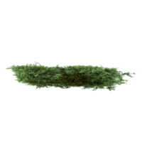 3d illustration of Artificial Grass Wall with red flowers isolated on transparent canvas from top view png