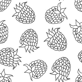 sin costura modelo de dibujado a mano frambuesa bayas. negro y blanco contorno ilustración. vector