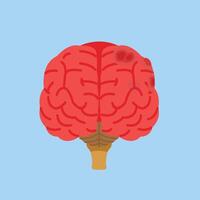 illustration of the brain in front view with flat style, design of the head part of the body vector