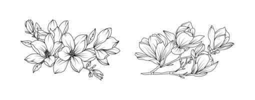 Magnolia flower arrangement line art on white background. Silhouette magnolia botanical hand drawn element for wedding, invitation frame design, illustration vector
