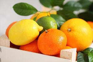 Fresh citrus fruits in the box photo