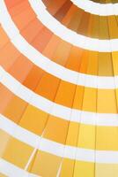a close up of a color chart with a variety of colors photo