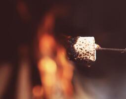 Close up of a marshmallow on a stick being roasted photo