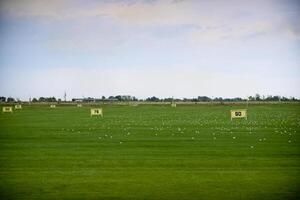 a green field with a few yellow and white flags photo