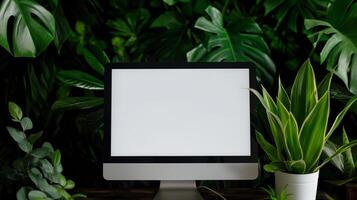 Working computer with mockup monitor in tropical plants. Eco friendly workspace with pc display template advertising image. Nature care technology screen mock up product photorealistic photo
