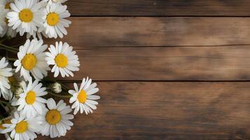 Chamomiles on rustic wooden table banner background copy space. Windflowers bouquet on board desk image backdrop empty. Greeting card concept composition top view, copyspace photo