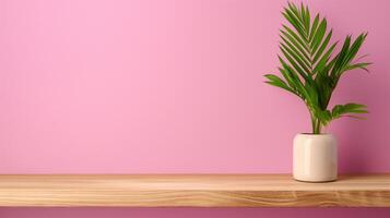 Wooden shelf with palm by pink wall banner background copy space. Podium for product with houseplant image backdrop empty. Minimalist design concept composition front view, copyspace photo