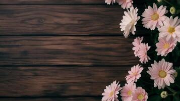 Pink daisies frame on rustic table banner background copy space. Fresh flowers ornament on wooden desk image backdrop empty. Floral design concept composition top view, copyspace photo
