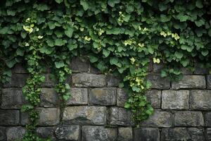 Lush green ivy cascading over an old stone wall in a serene garden setting photo