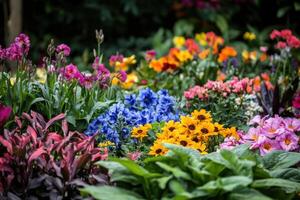 Vibrant garden filled with colorful flowers during springtime blooming photo