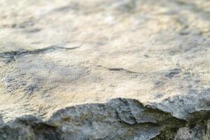 Natural stone surface close-up revealing texture and geological features in natural light photo