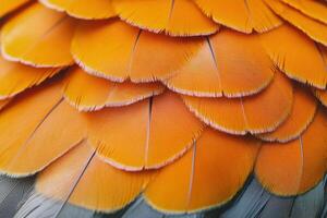 Close-up of vibrant orange feathers displaying intricate textures and details in natural light photo