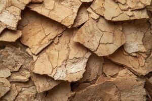Detailed close-up of cracked soil layers in an arid landscape showcasing drought effects photo