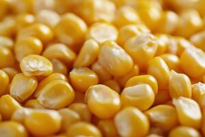 Close-up view of scattered yellow corn kernels on a textured surface under natural light photo