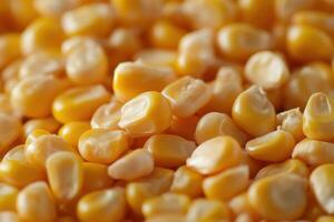 Freshly harvested yellow corn kernels spread across a wooden surface in a rustic setting photo