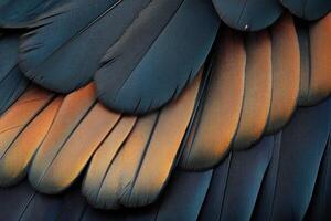 Vibrant close-up of bird feathers showcasing intricate colors and textures in natural light photo