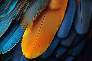 Vibrant close-up of blue and orange feathers showcasing nature's intricate patterns and textures photo